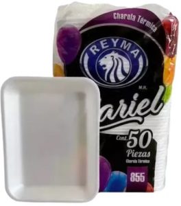 Plato Charola Rectangular